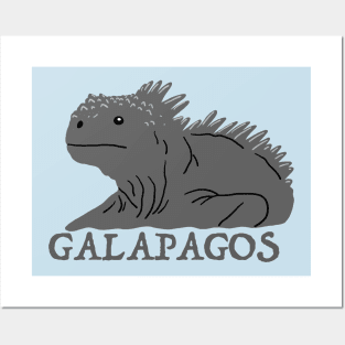 Galapagos Marine Iguana Posters and Art